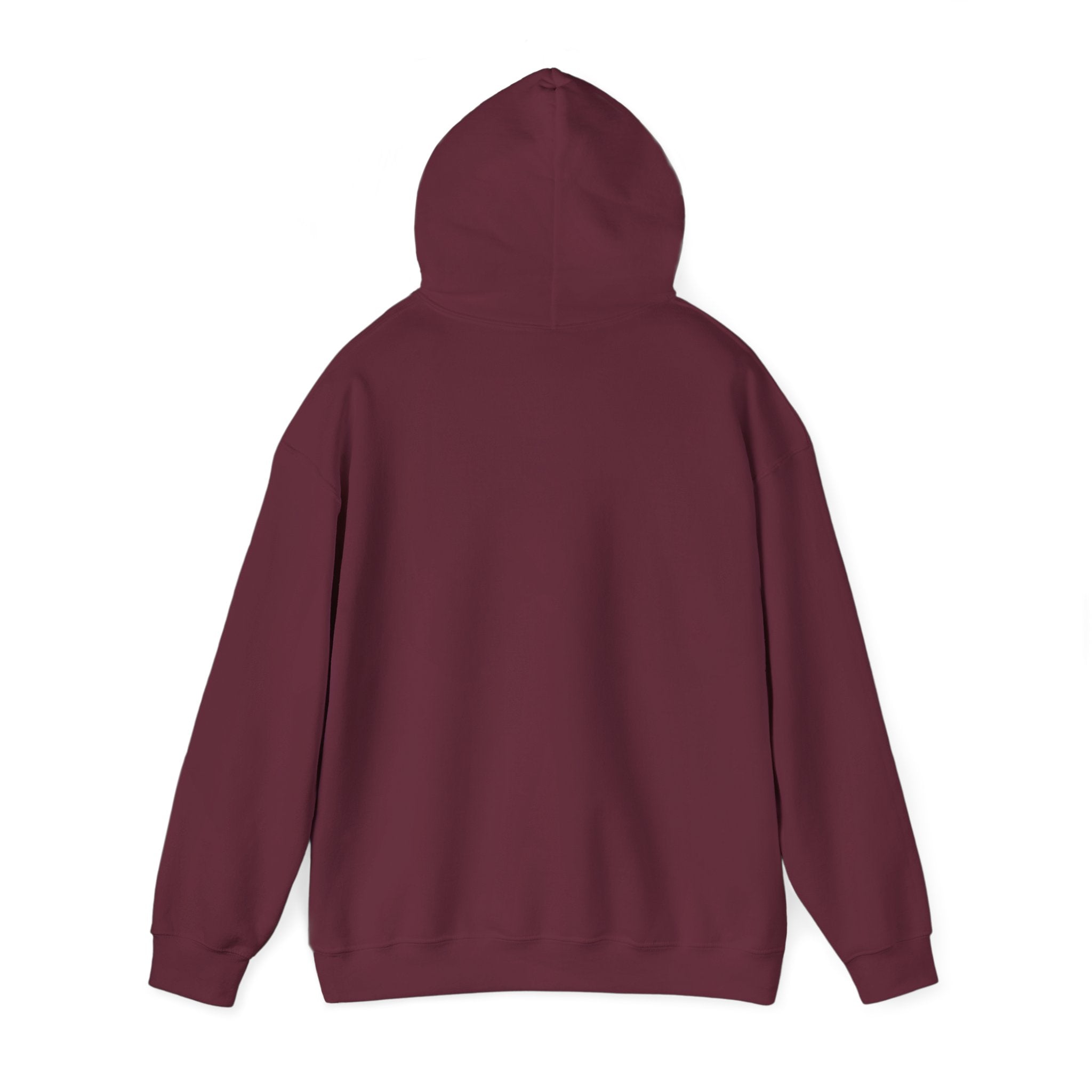 Copy of 250 National - Unisex Hooded Sweatshirt