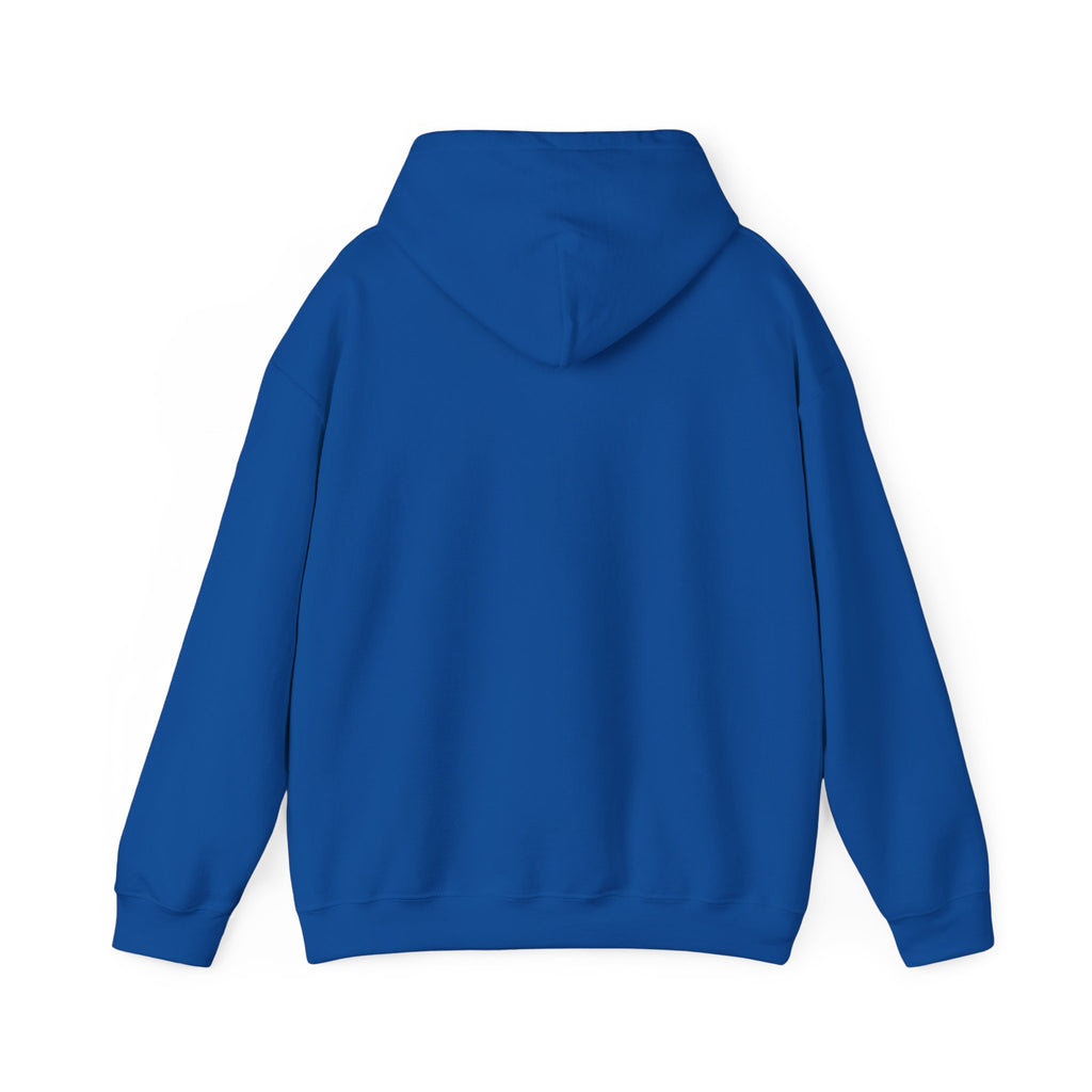 Copy of 250 National - Unisex Hooded Sweatshirt