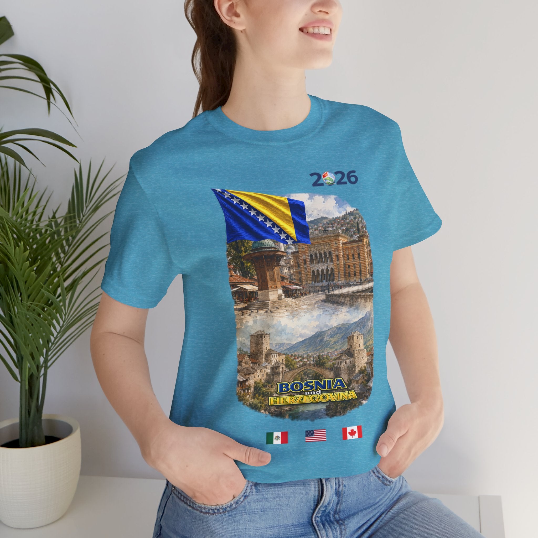 BOSNIA and HERZEGOVINA Global
