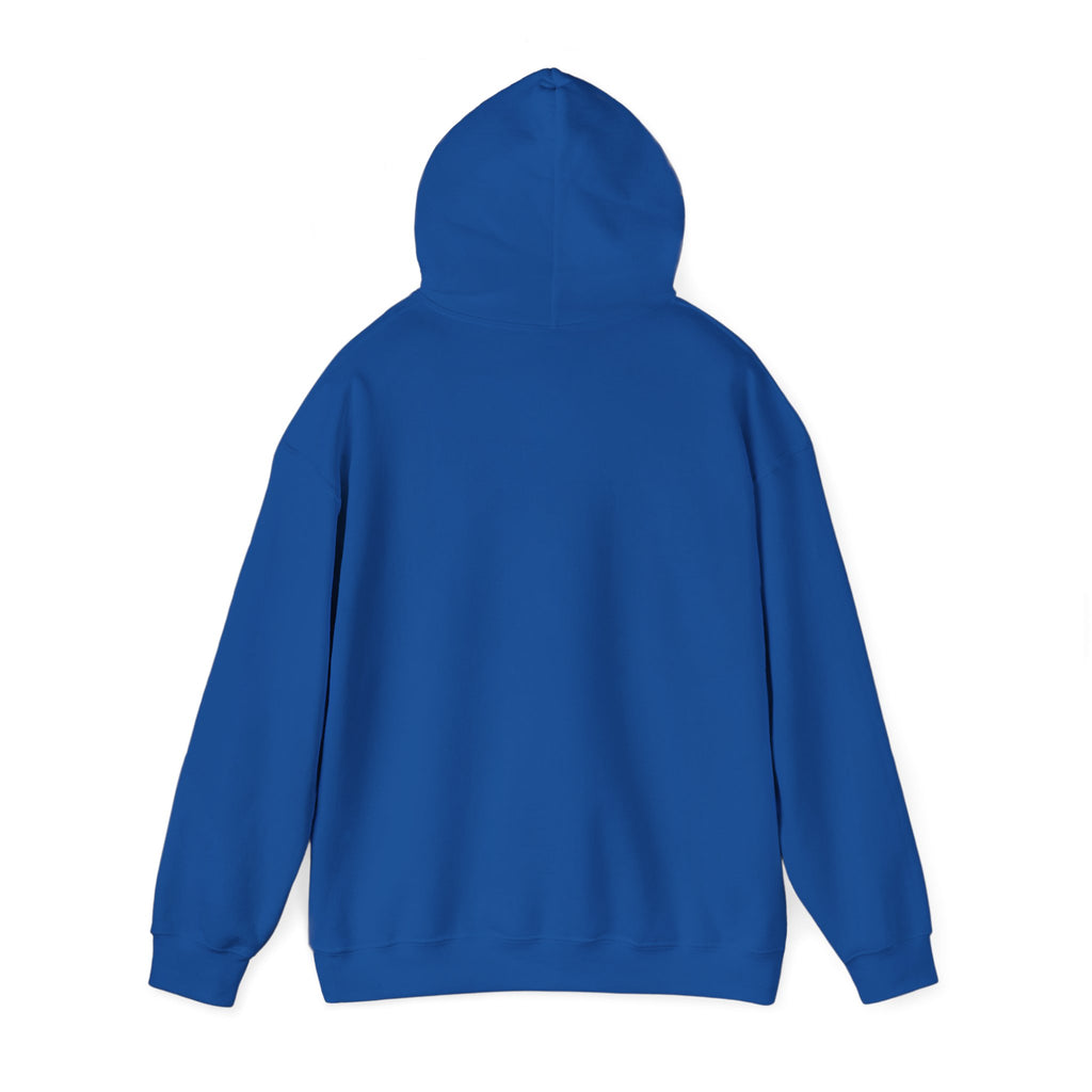 Copy of 250 National - Unisex Hooded Sweatshirt