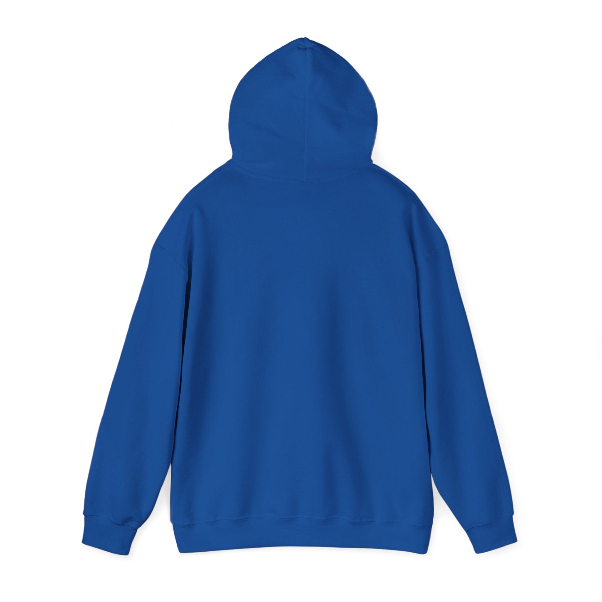 Copy of 250 National - Unisex Hooded Sweatshirt