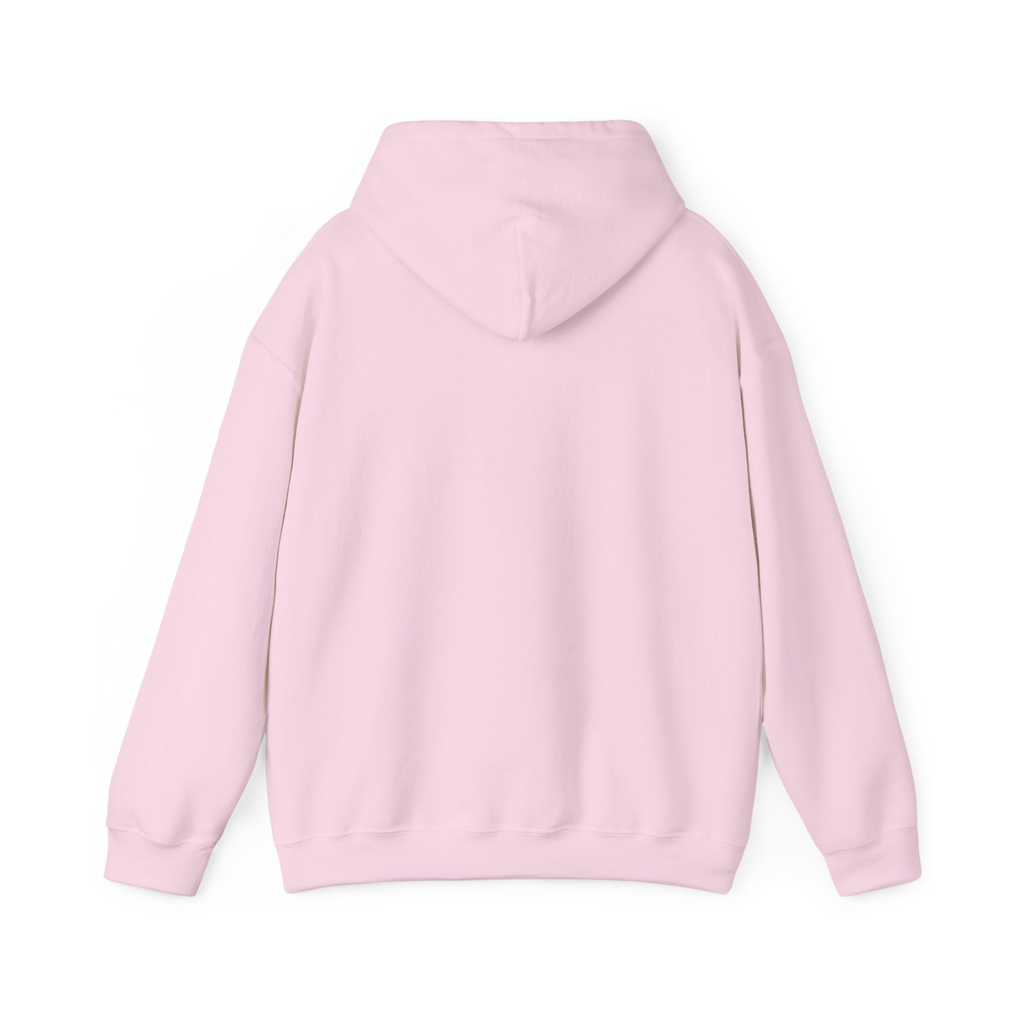 Copy of 250 National - Unisex Hooded Sweatshirt