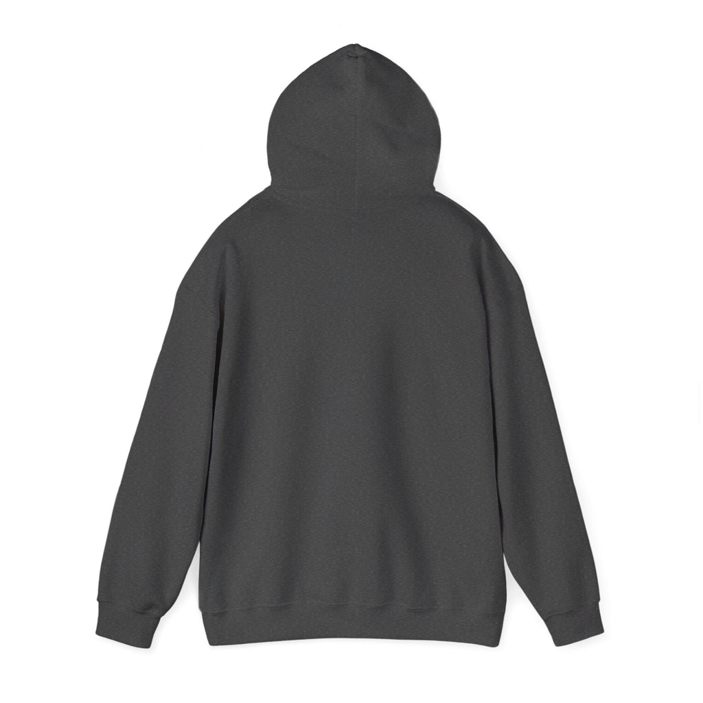 Copy of 250 National - Unisex Hooded Sweatshirt