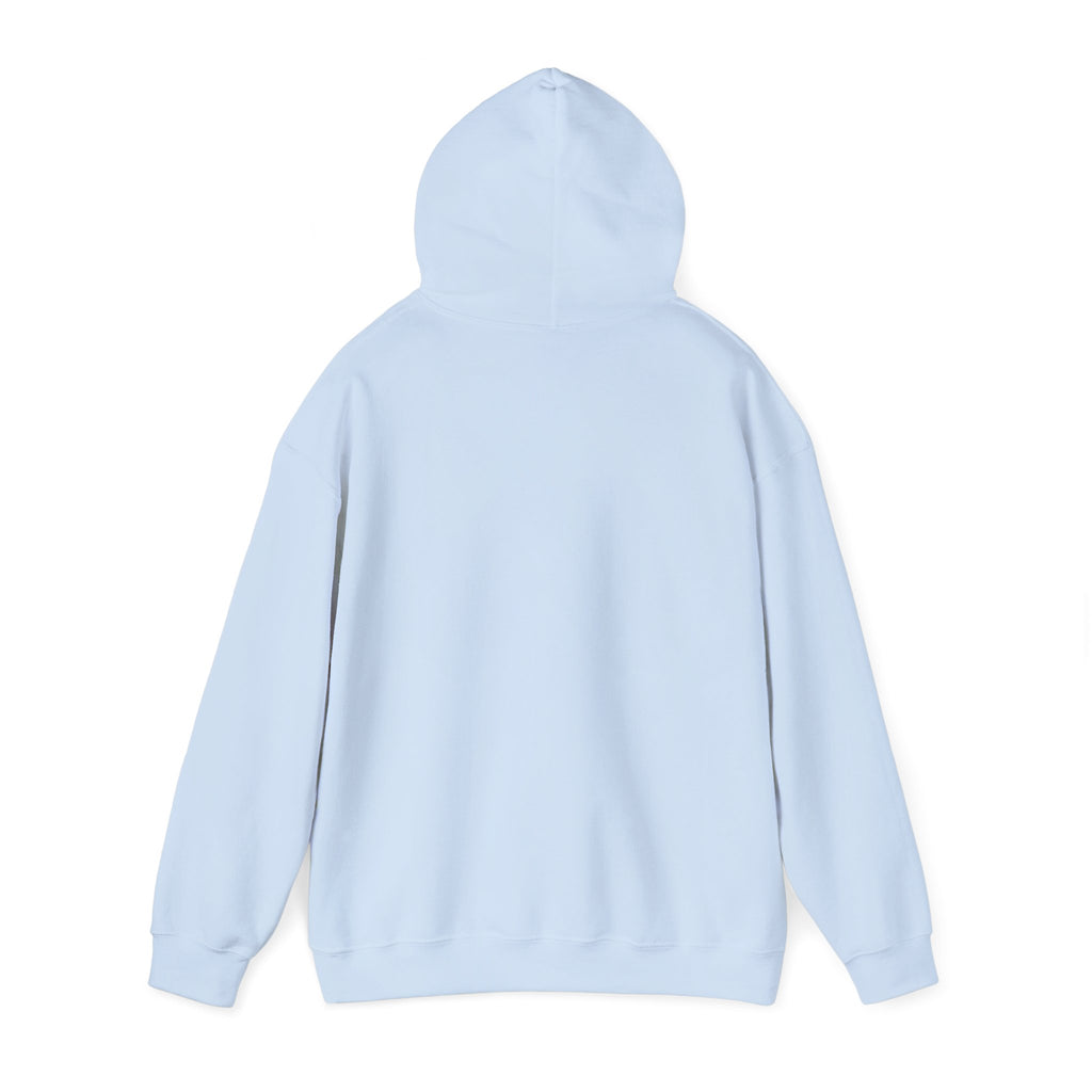Copy of 250 National - Unisex Hooded Sweatshirt