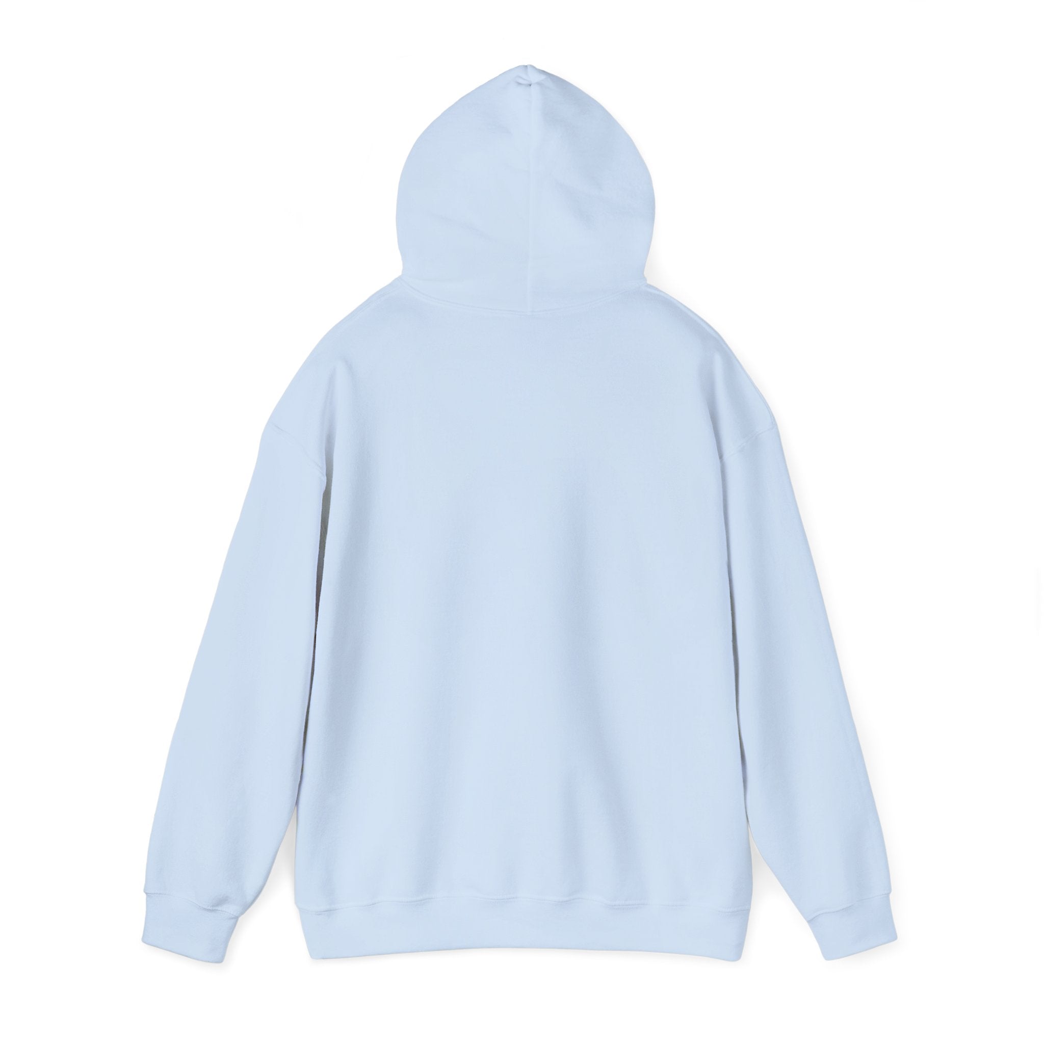Copy of 250 National - Unisex Hooded Sweatshirt