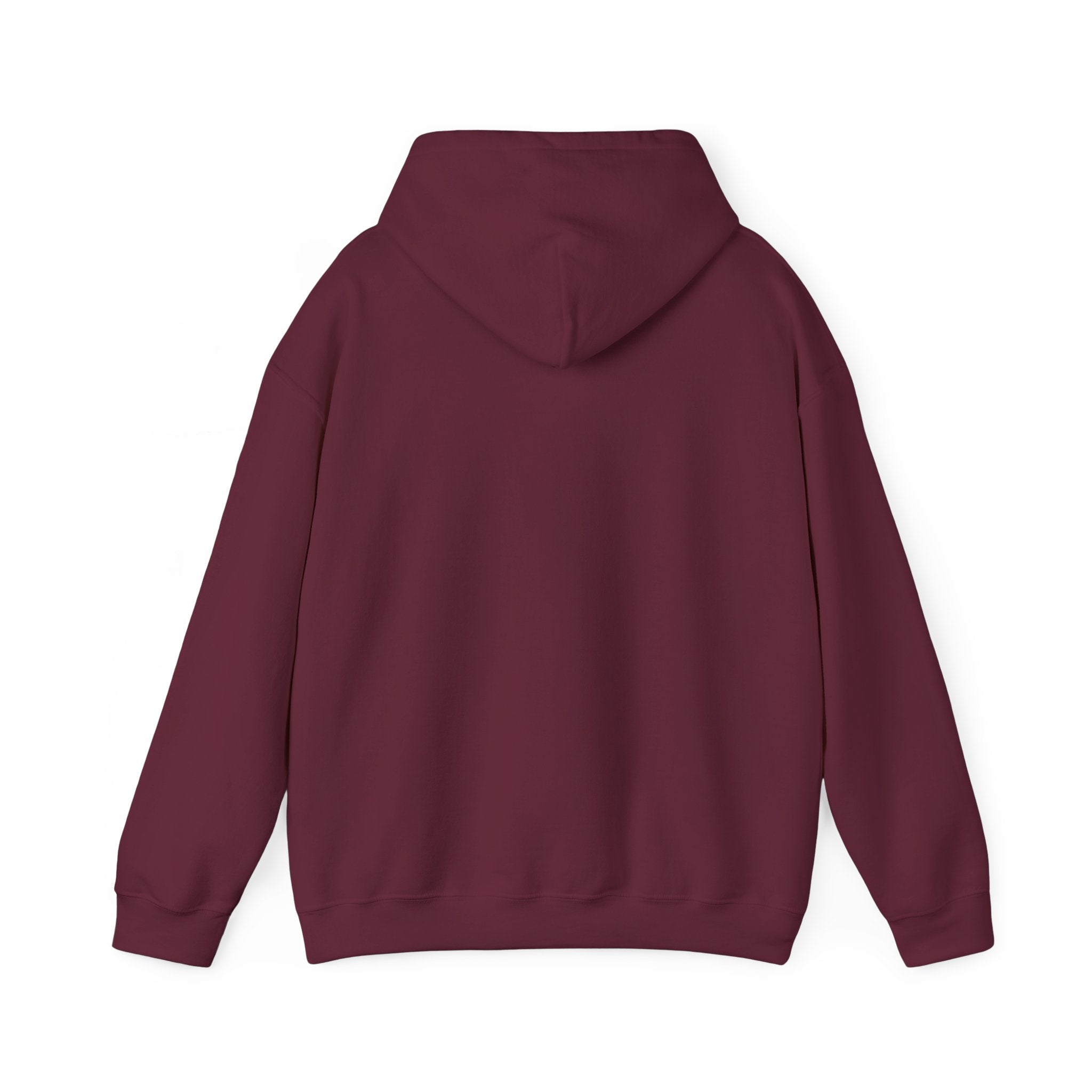 Copy of 250 National - Unisex Hooded Sweatshirt