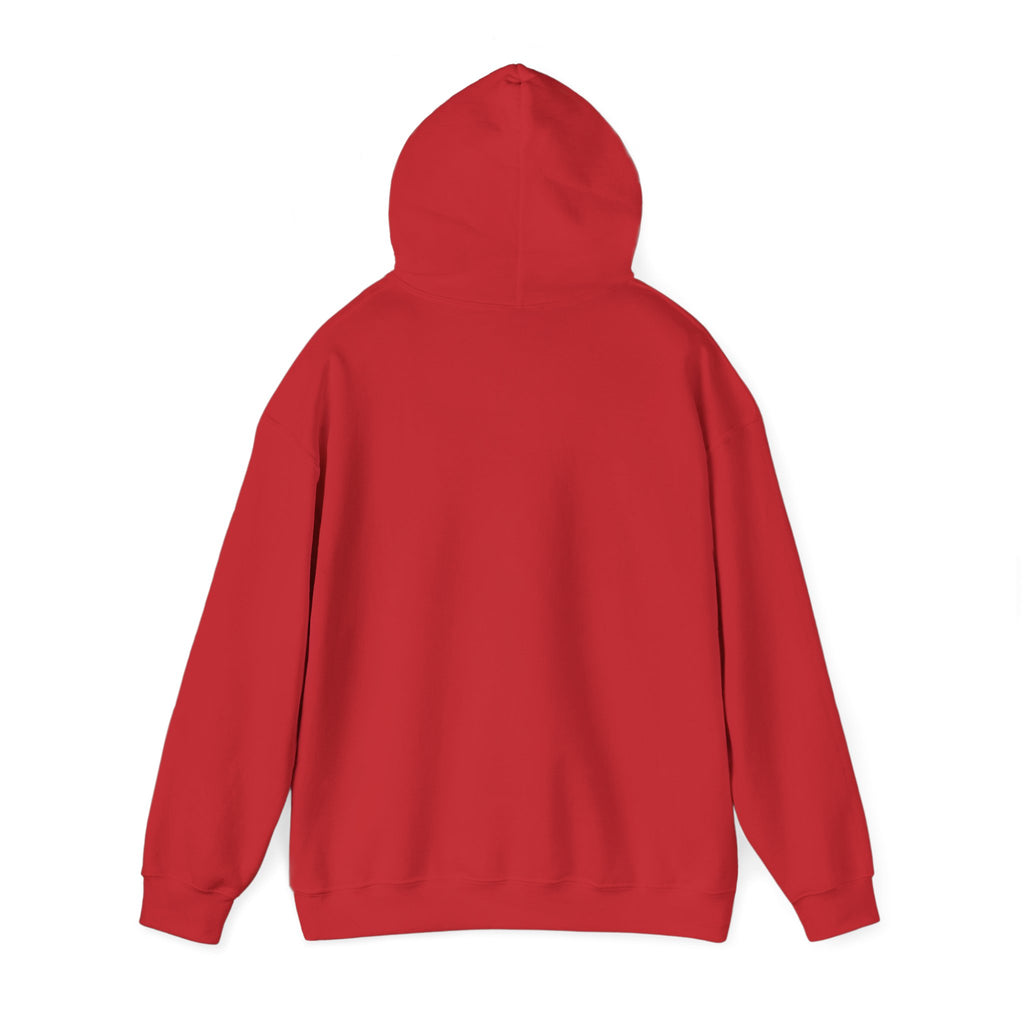 Copy of 250 National - Unisex Hooded Sweatshirt
