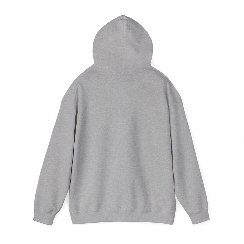 Copy of 250 National - Unisex Hooded Sweatshirt