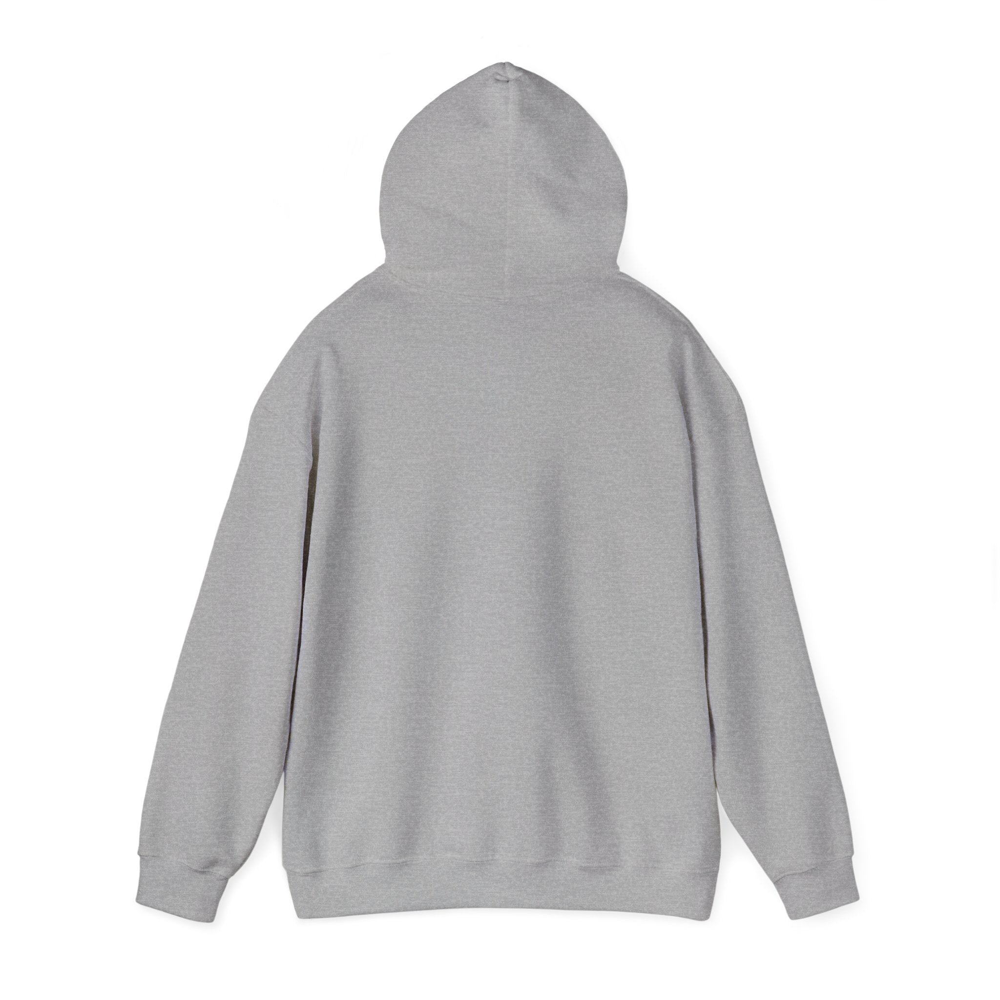 Copy of 250 National - Unisex Hooded Sweatshirt