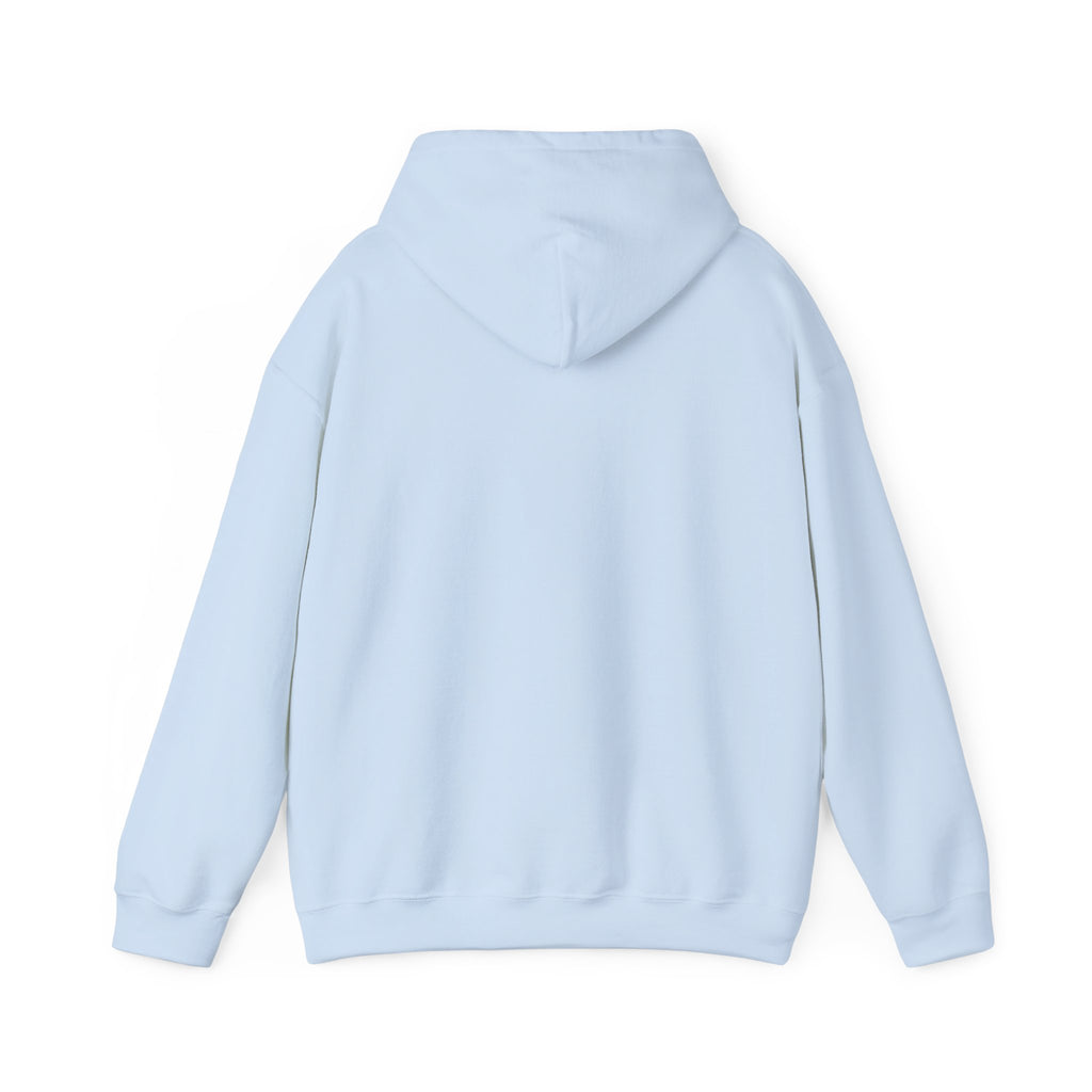 Copy of 250 National - Unisex Hooded Sweatshirt