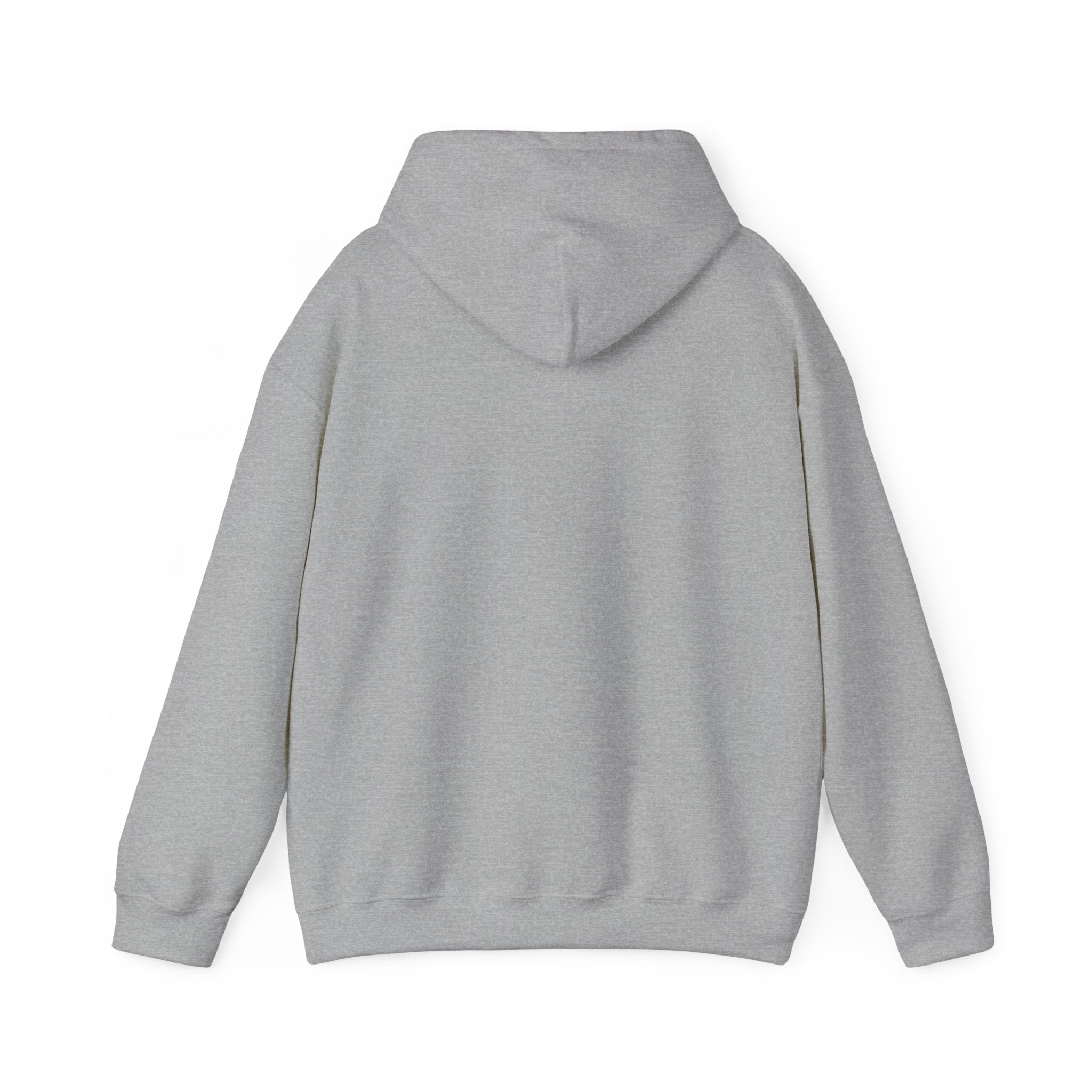 Copy of 250 National - Unisex Hooded Sweatshirt