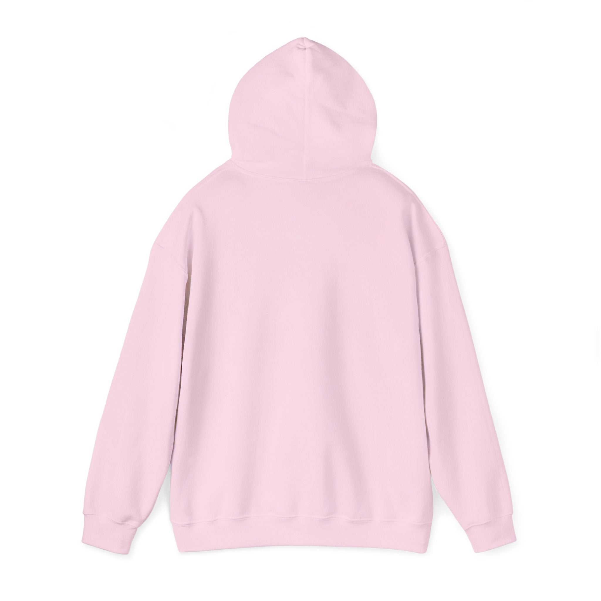 Copy of 250 National - Unisex Hooded Sweatshirt