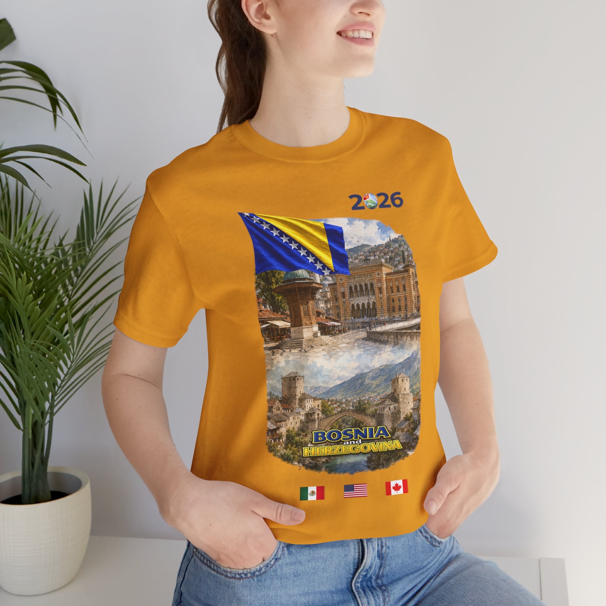 BOSNIA and HERZEGOVINA Global