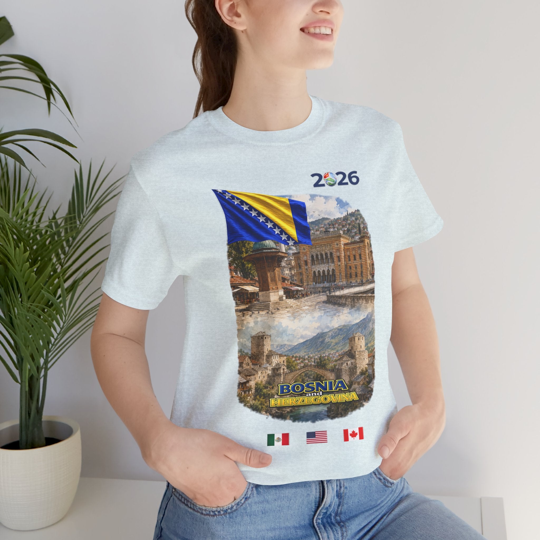 BOSNIA and HERZEGOVINA Global