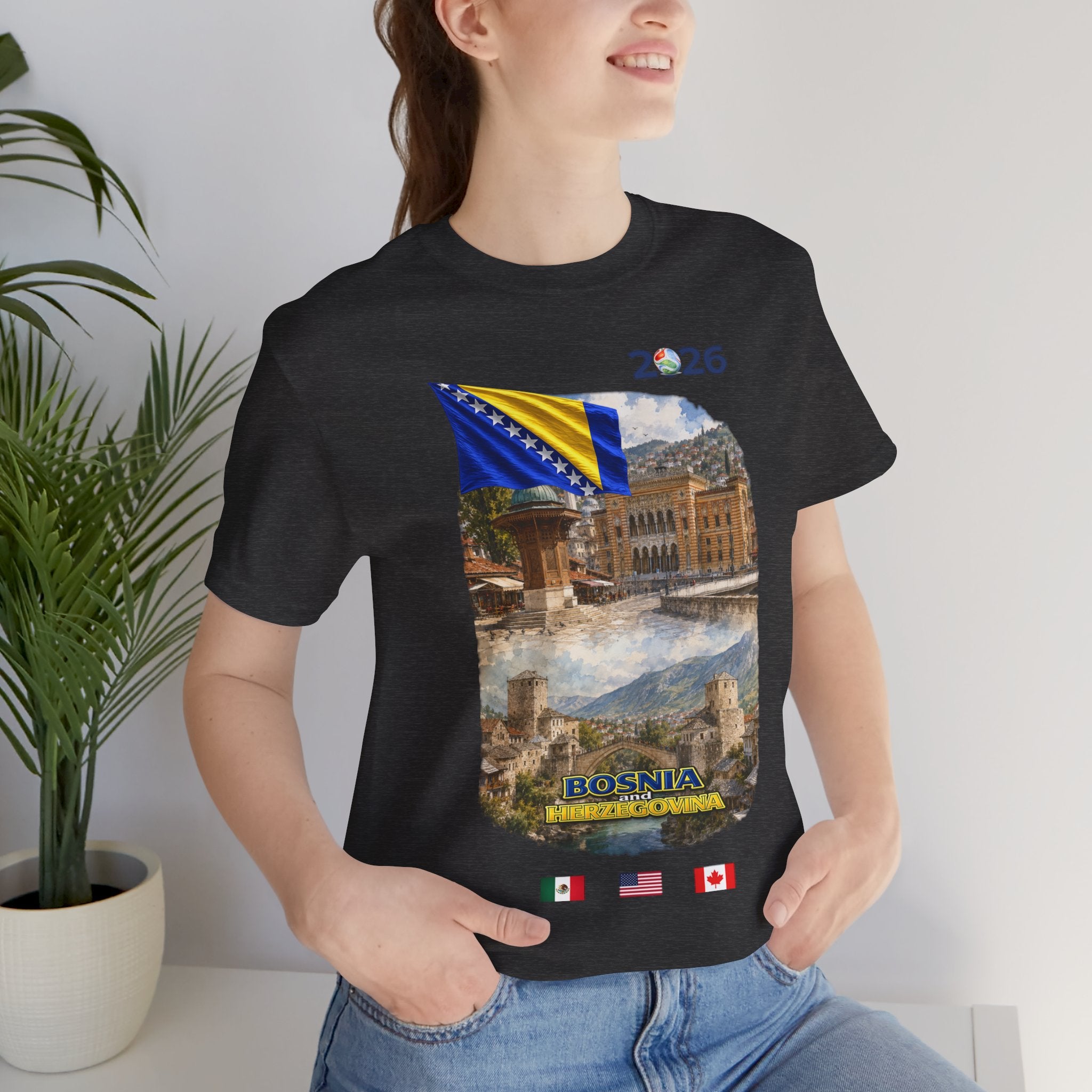 BOSNIA and HERZEGOVINA Global